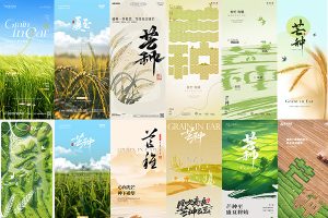 【514期】中国传统节日24节气节日节庆芒种海报模板PSD设计素材